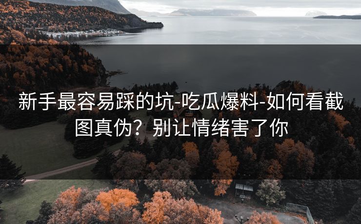 新手最容易踩的坑-吃瓜爆料-如何看截图真伪？别让情绪害了你