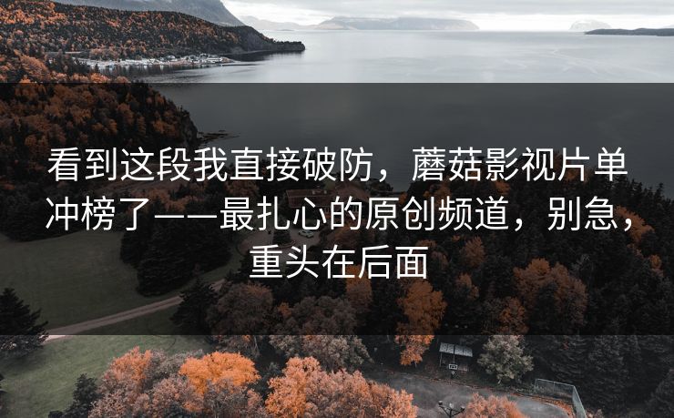 看到这段我直接破防，蘑菇影视片单冲榜了——最扎心的原创频道，别急，重头在后面