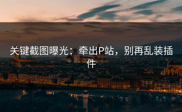 关键截图曝光：牵出P站，别再乱装插件
