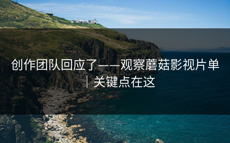 创作团队回应了——观察蘑菇影视片单｜关键点在这