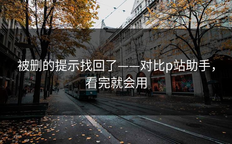被删的提示找回了——对比p站助手,看完就会用