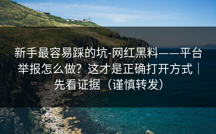 新手最容易踩的坑-网红黑料——平台举报怎么做？这才是正确打开方式｜先看证据（谨慎转发）