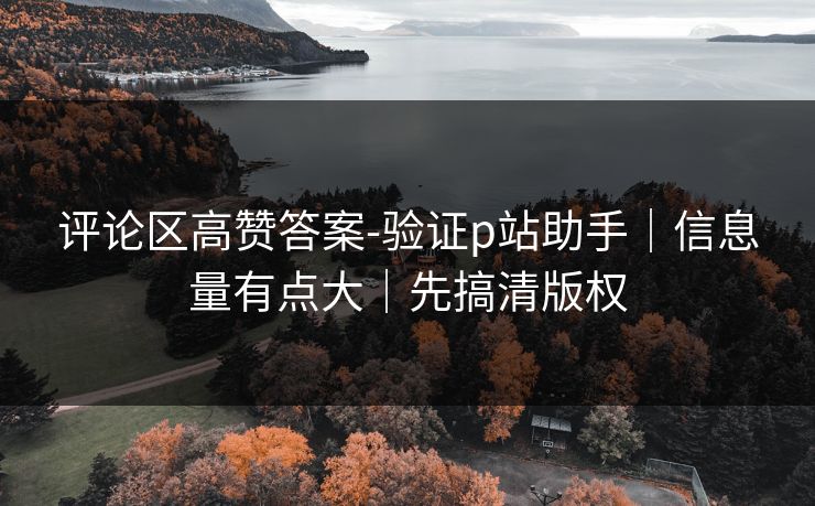 评论区高赞答案-验证p站助手｜信息量有点大｜先搞清版权