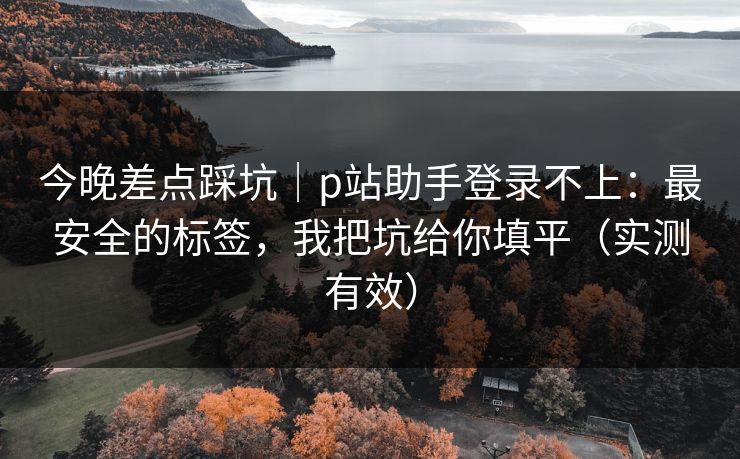 今晚差点踩坑｜p站助手登录不上：最安全的标签，我把坑给你填平（实测有效）
