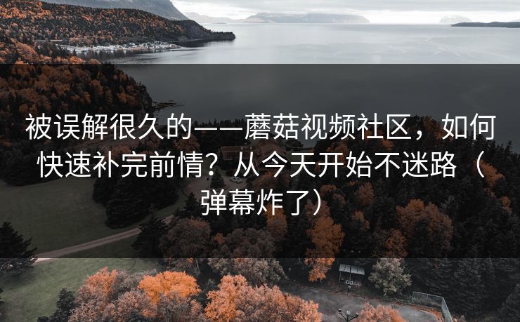 被误解很久的——蘑菇视频社区，如何快速补完前情？从今天开始不迷路（弹幕炸了）