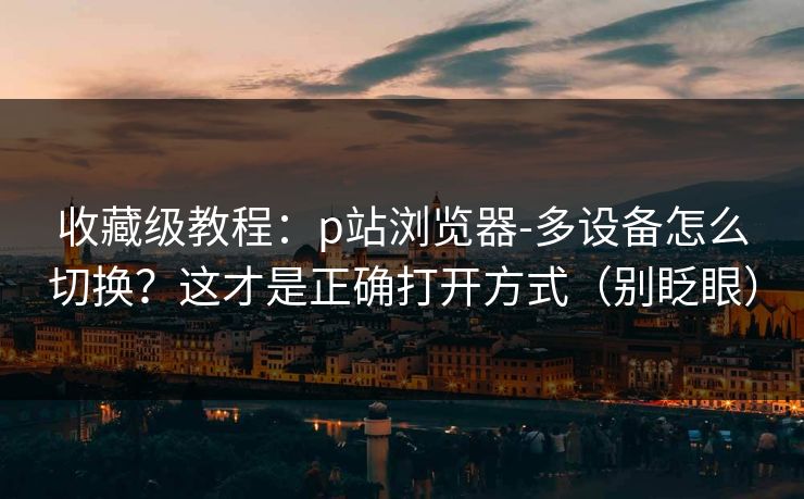 收藏级教程:p站浏览器-多设备怎么切换?这才是正确打开方式(别眨眼)
