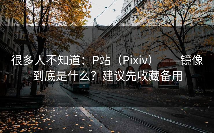 很多人不知道：P站（Pixiv）——镜像到底是什么？建议先收藏备用
