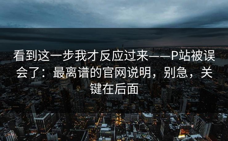 看到这一步我才反应过来——P站被误会了:最离谱的官网说明,别急,关键在后面
