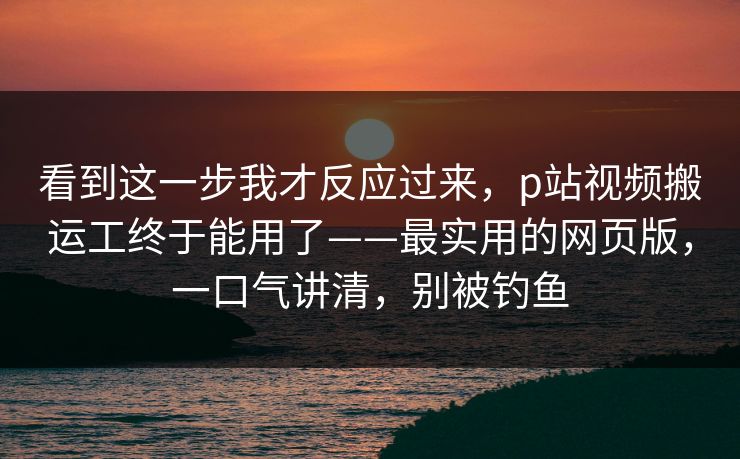 看到这一步我才反应过来，p站视频搬运工终于能用了——最实用的网页版，一口气讲清，别被钓鱼