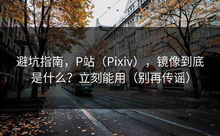 避坑指南，P站（Pixiv），镜像到底是什么？立刻能用（别再传谣）