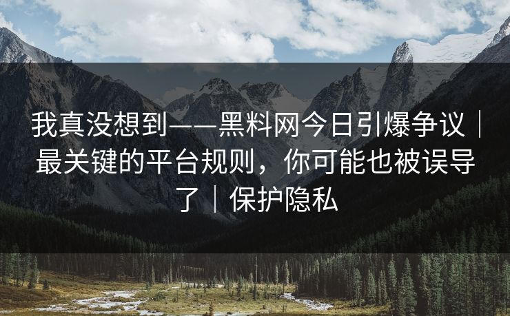 我真没想到——黑料网今日引爆争议｜最关键的平台规则，你可能也被误导了｜保护隐私